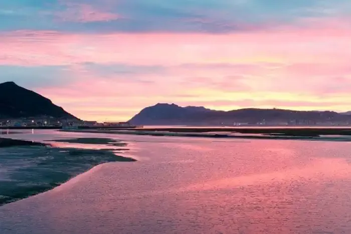 Marismas de Santoña