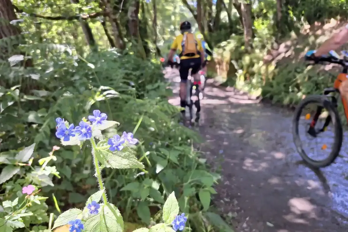 Peregrinos en bicicleta