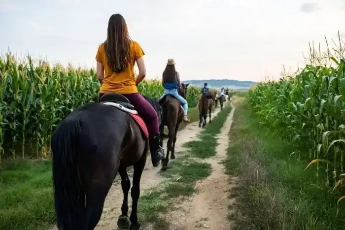 Gente montando a caballo por un sendero