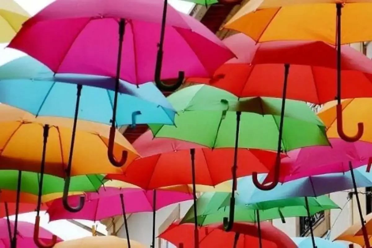Regenschirm