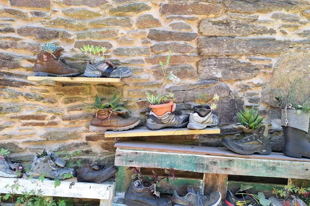 Types de chaussures