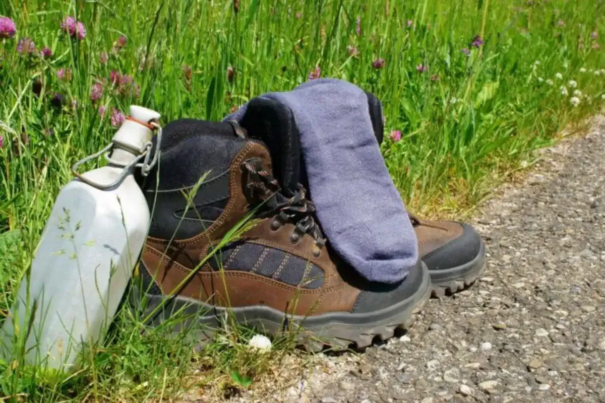 Chaussures montantes