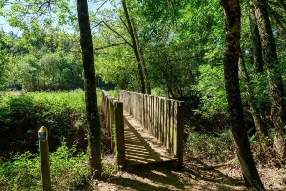 Ponte sul Cammino