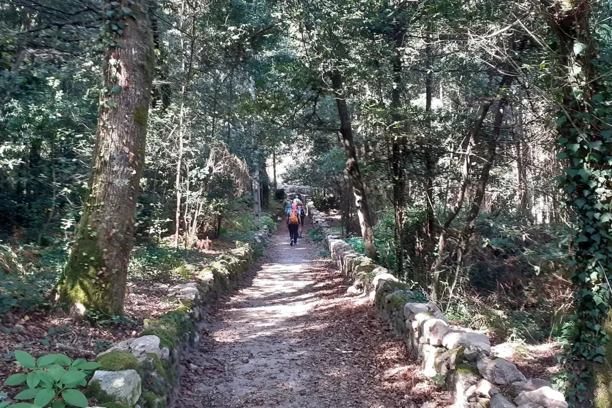 Pilgrims