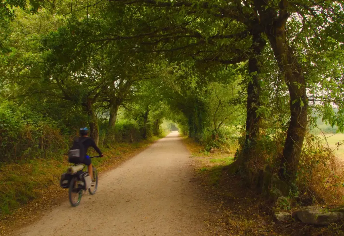 Una persona pedaleando en el Camino Francés