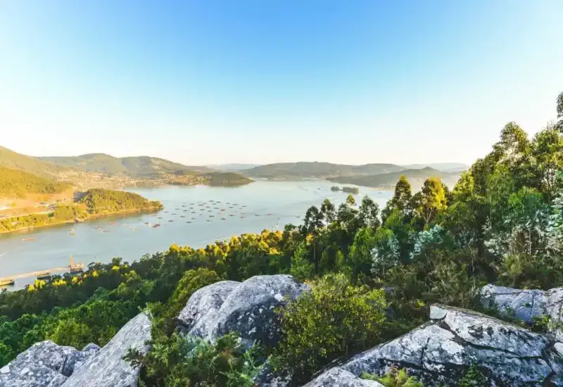 Vigo