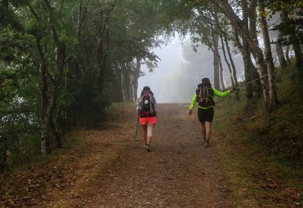 Dos peregrinos caminando por el bosque