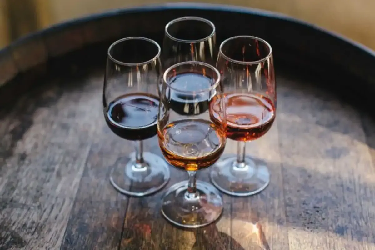 Vins du Camino