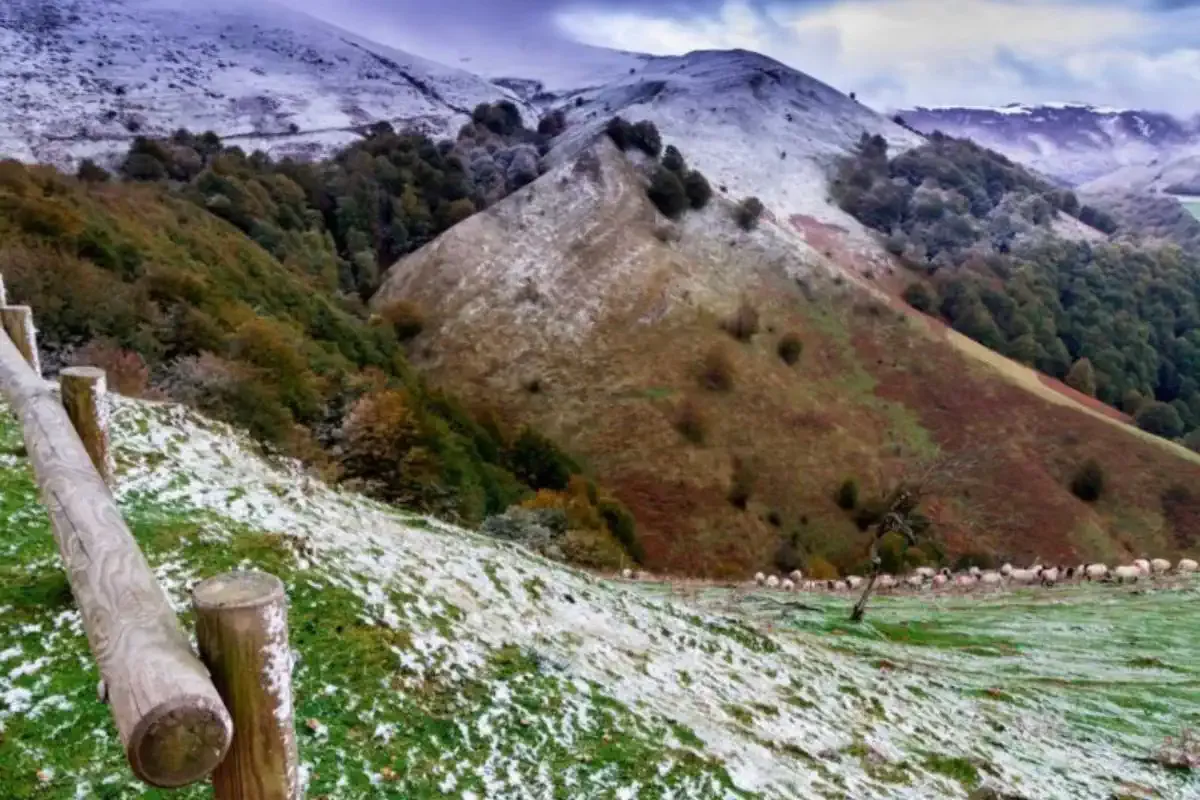 The French Way in Spain begins in the Pyrenees