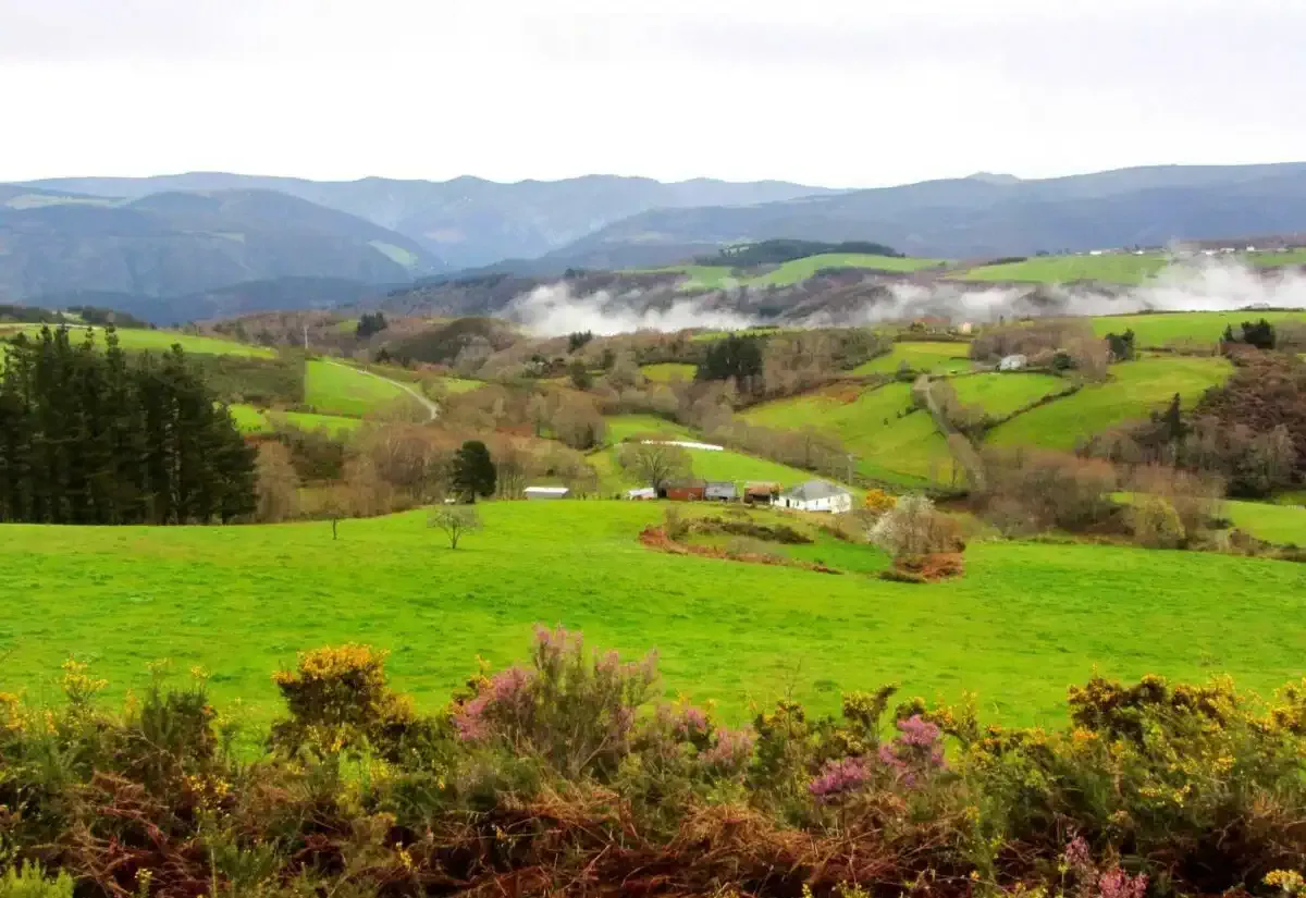 Prados asturianos