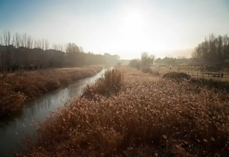 El Río Anoia. Un río a través del Camino Catalán
