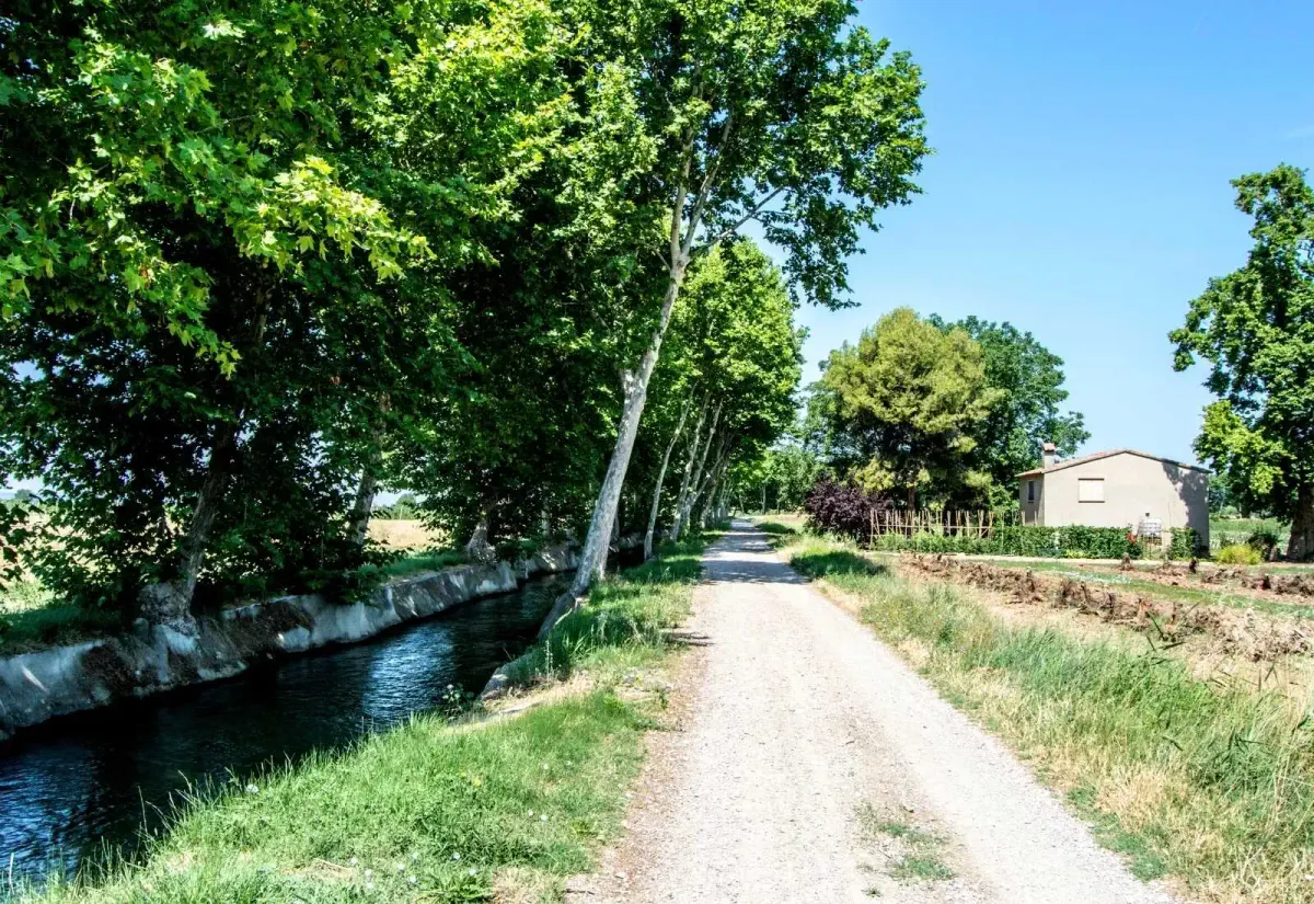 Der Canal d
