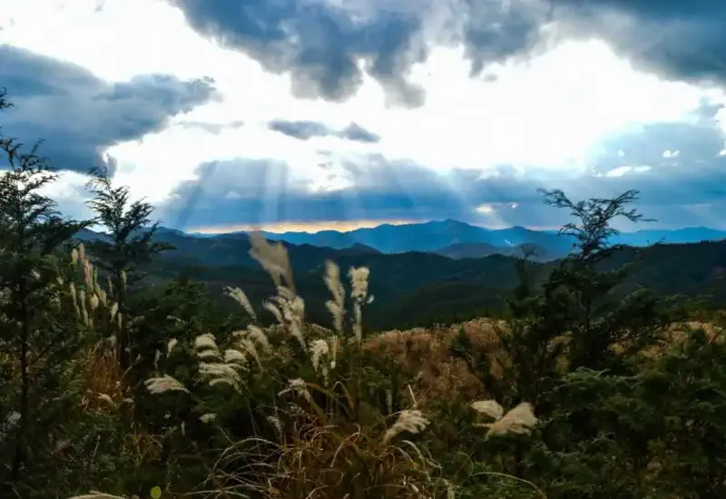 Mount Koyasan