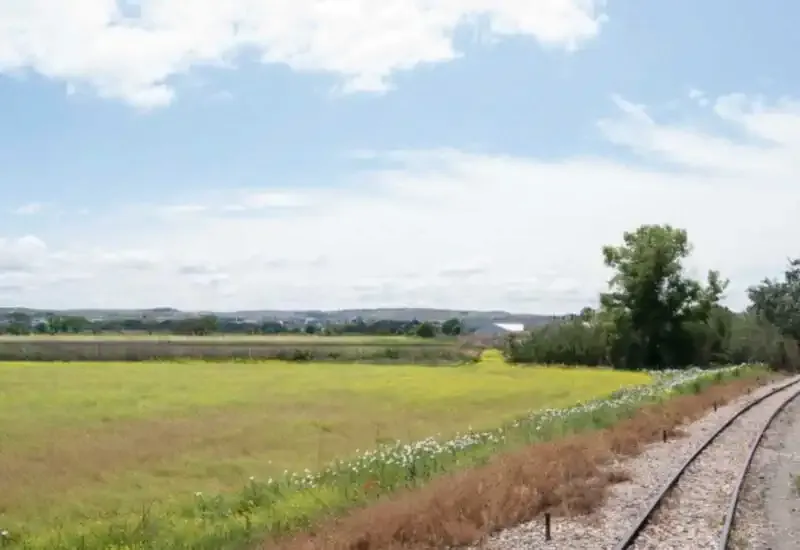El ferrocarril de Tajona