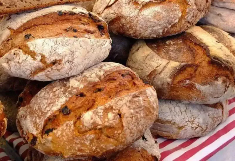 Hogazas de pan gallego