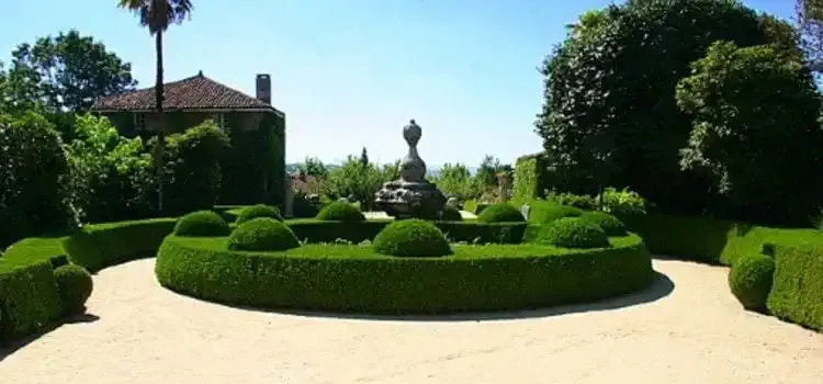 Fountain in the middle of the garden