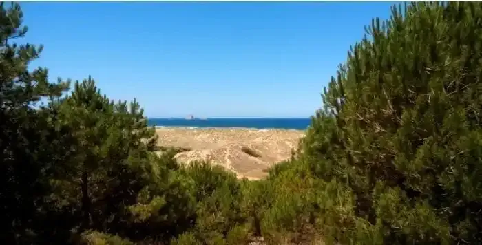 Parco Naturale delle Dune di Liancres