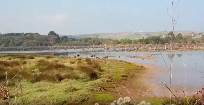Los Cámbaros