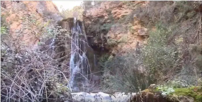 Cascata nel sottobosco