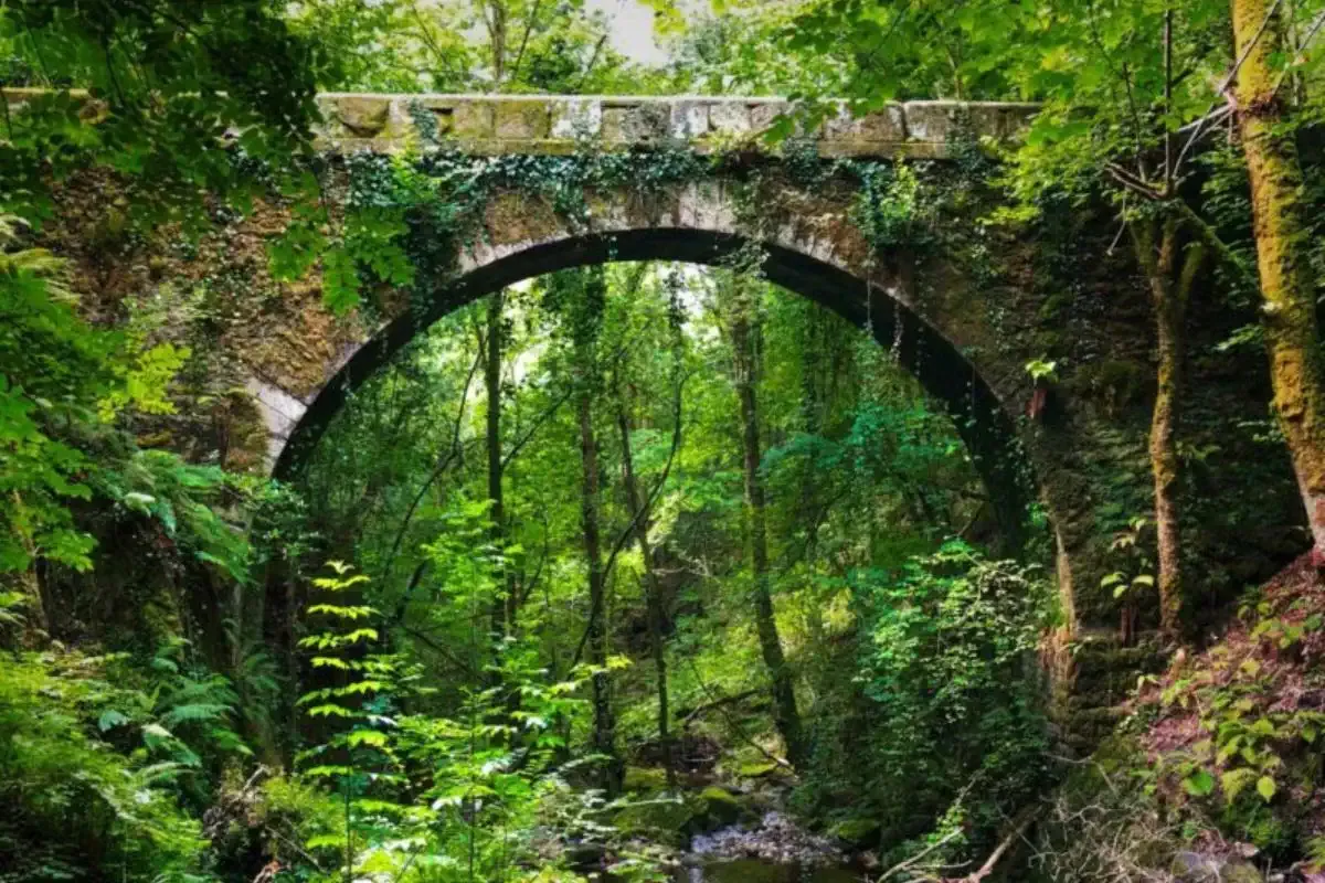 Brücke