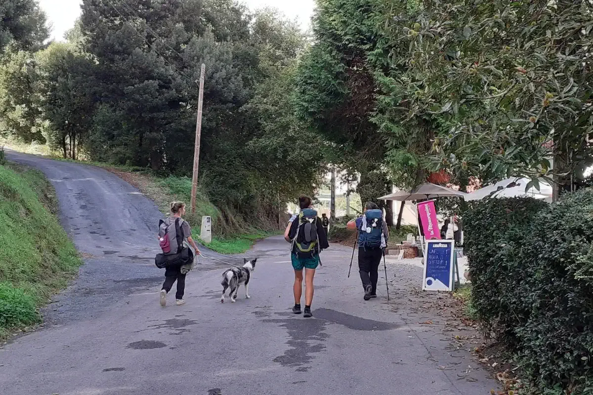 Peregrinos finalizando el Camino Portugués, una ruta que puedes disfrutar en una semana