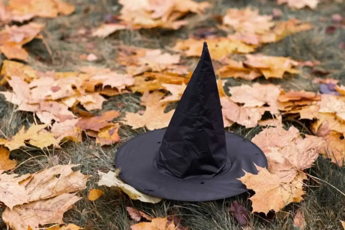 Gorro de bruja en un bosque