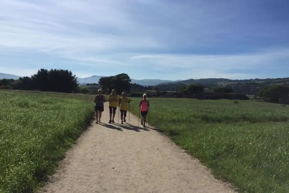 Pèlerins sur le Chemin Français de Sarria