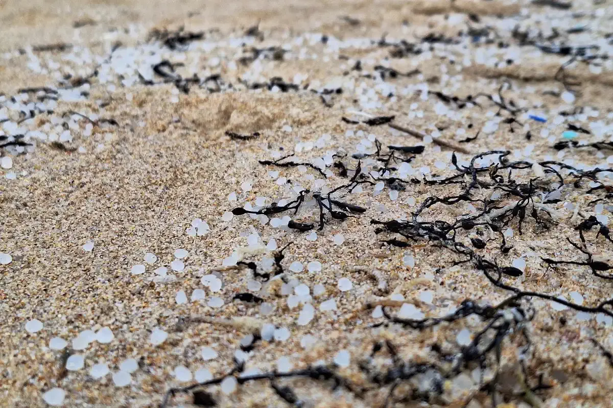 Pellets en la Playa de Penencia, en Ferrol.