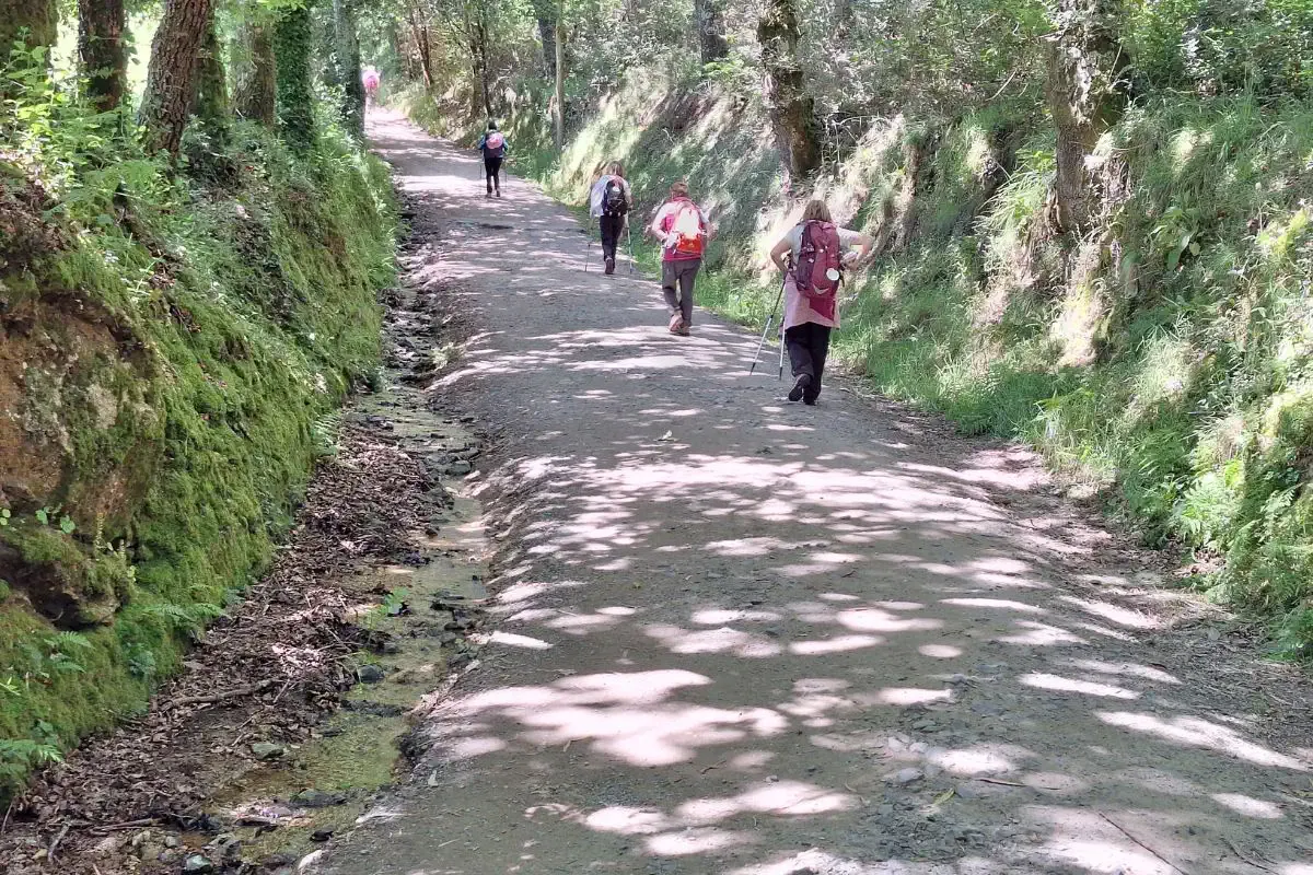 Peregrinas subiendo una cuesta