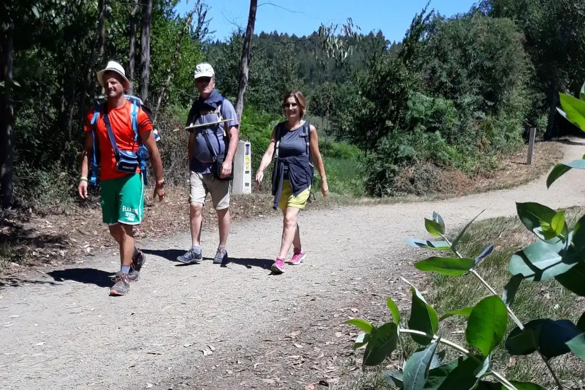 Pèlerins se préparant pour la difficile descente vers Redondela, sur le Chemin Portugais