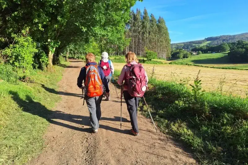 Peregrinas caminando bajo el sol