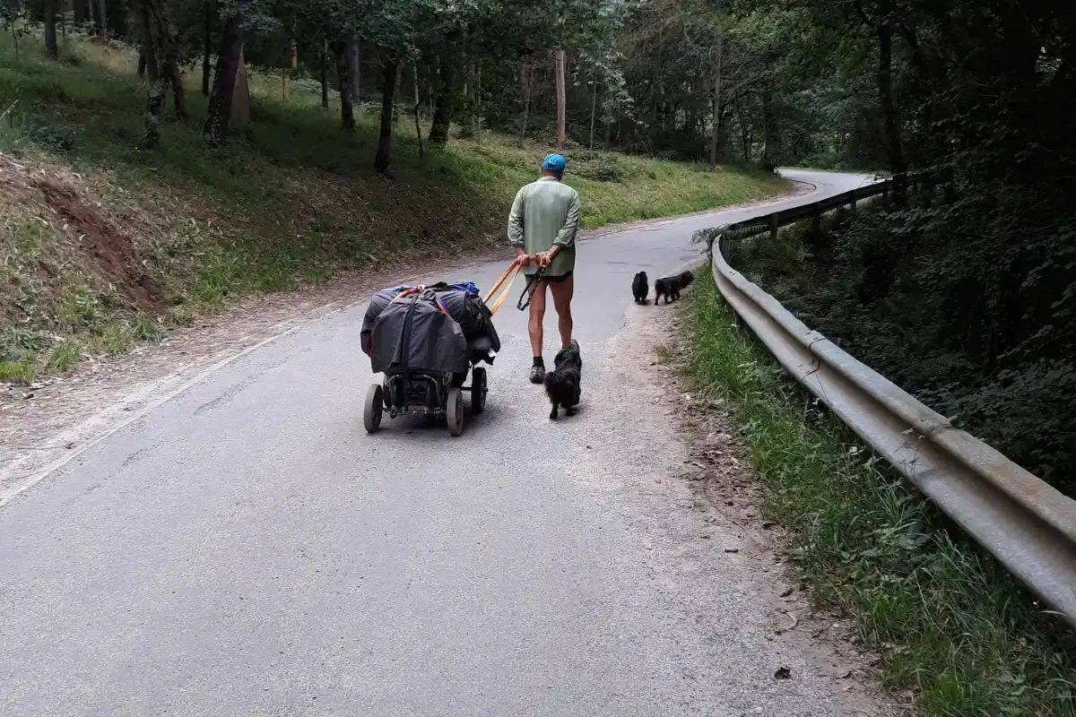 Pellegrino e cane
