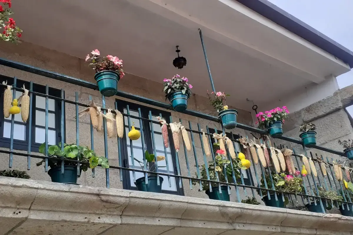 Balcón de una casa y Furancho