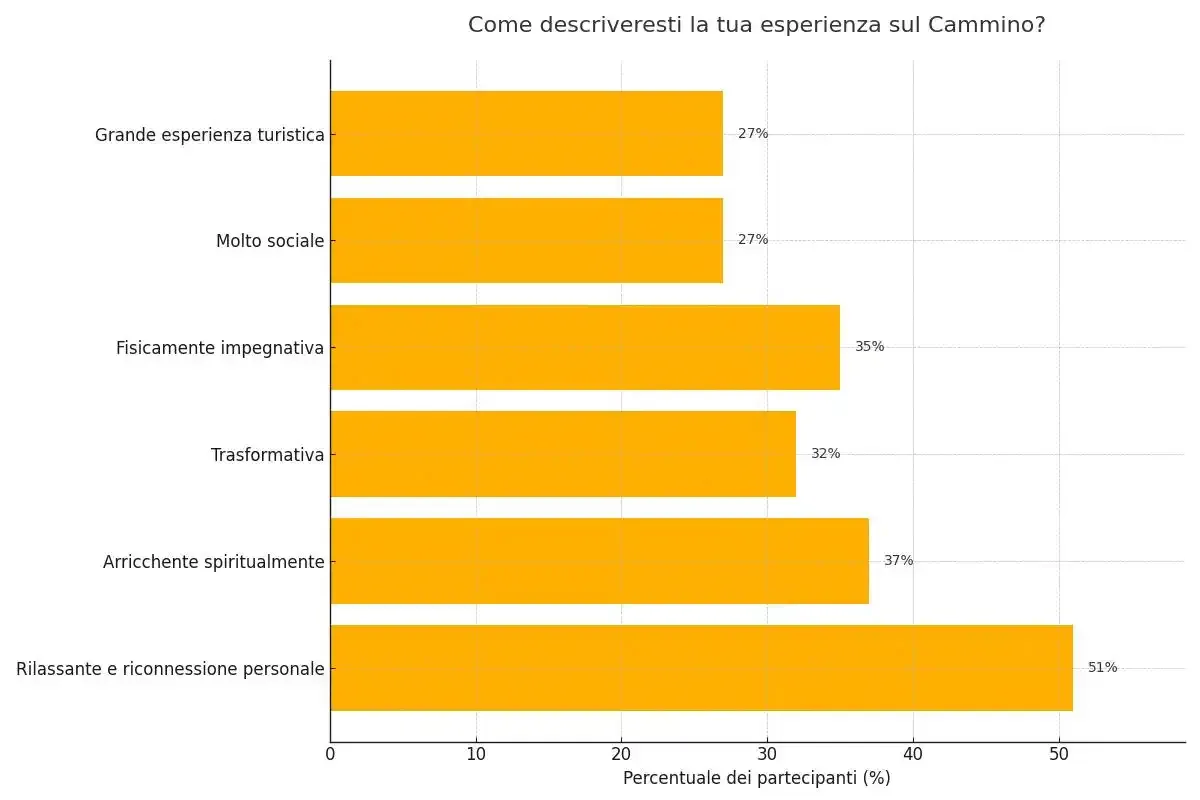 Come descriveresti la tua esperienza sul Cammino di Santiago?