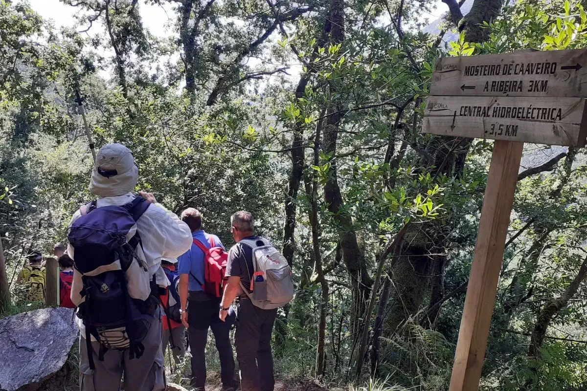 Futuri pellegrini che effettuano un percorso escursionistico come parte della loro preparazione fisica per il Cammino di Santiago