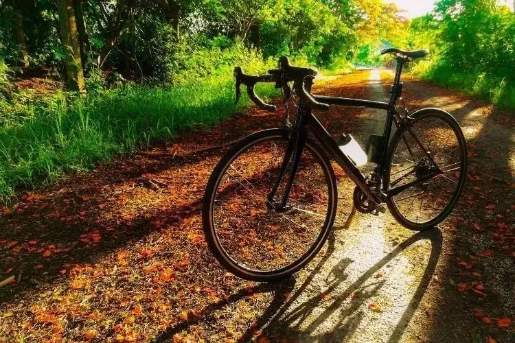 Una bicicleta en medio del camino
