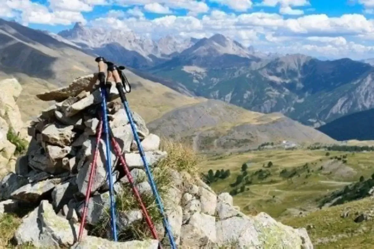 Wanderstöcken