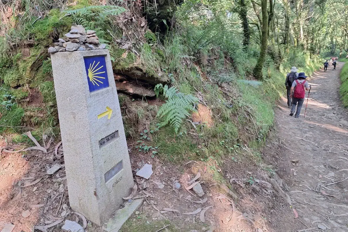 Hito y peregrinos en un bosque