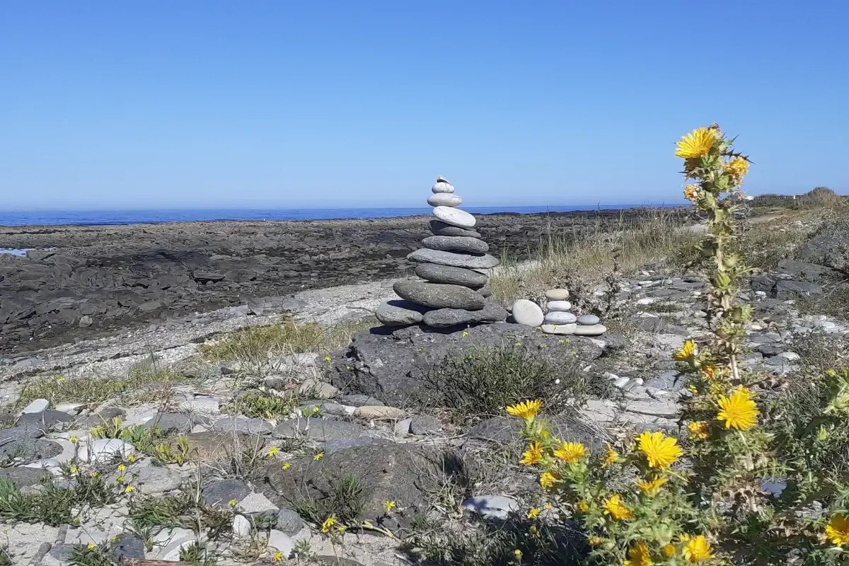 Paisaje portugués