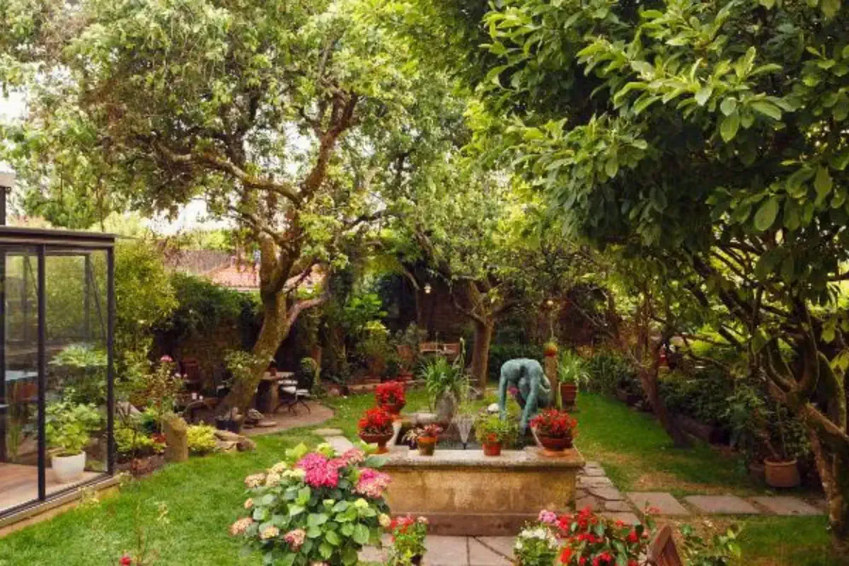 Terrace and garden