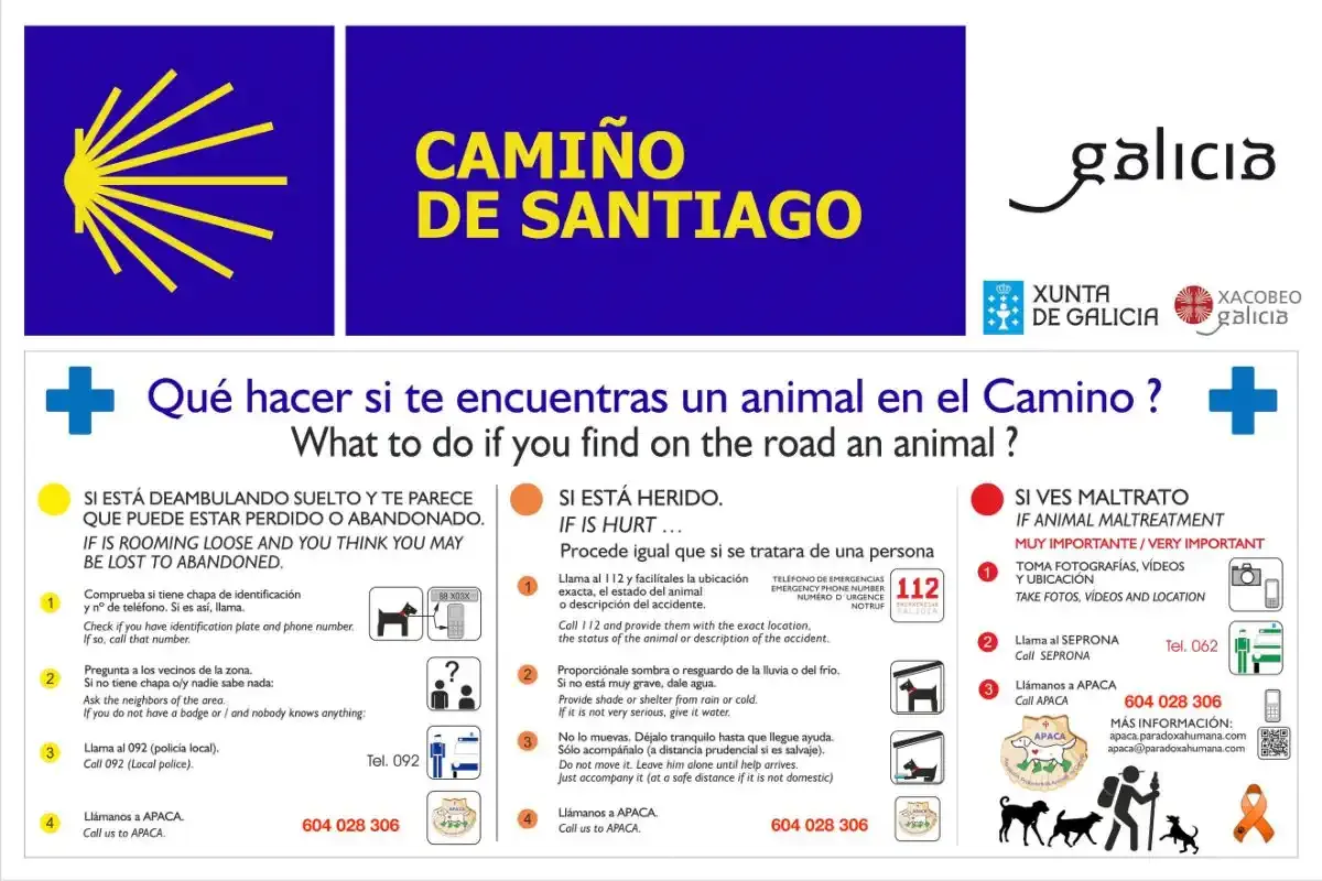 Segnale su cosa fare se trovi un animale smarrito sul Cammino