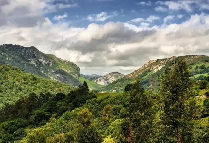 bucolic natural landscape witness
