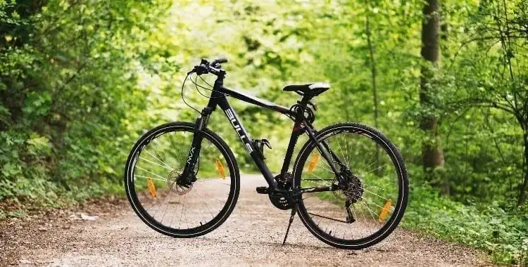 Bicicletta