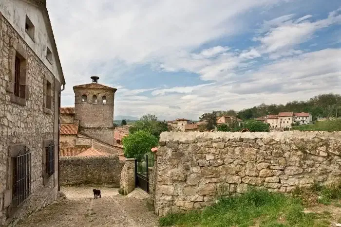 A dog in Santillana del Mar