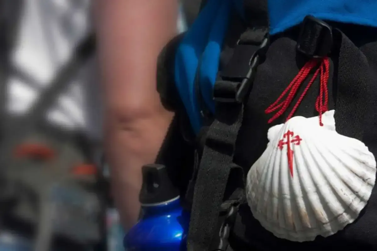 Pèlerin avec la coquille