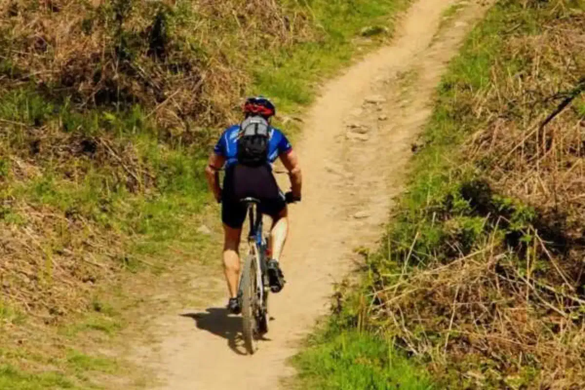 Ciclista