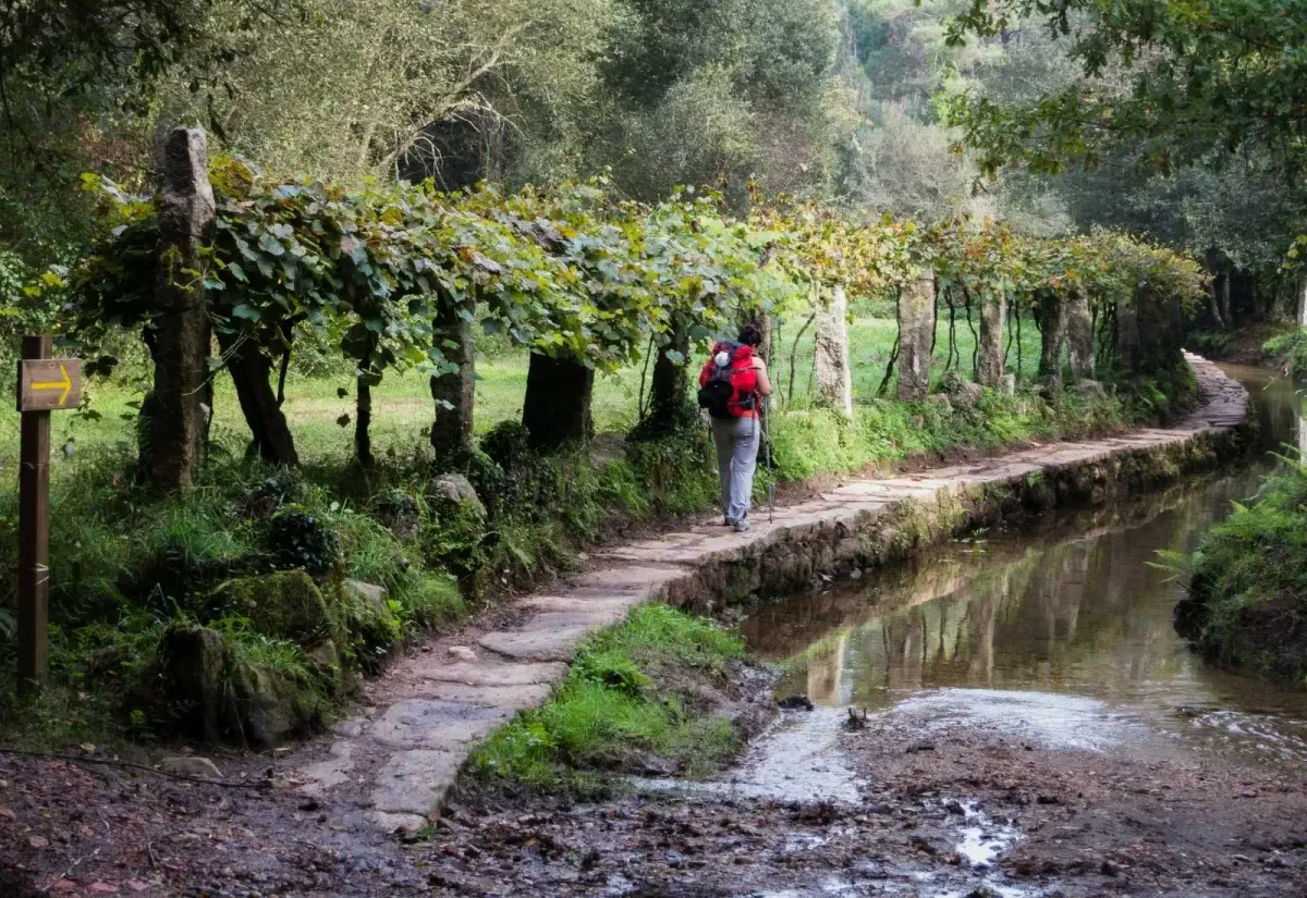Les femmes sur le Chemin peuvent le parcourir en toute tranquillité