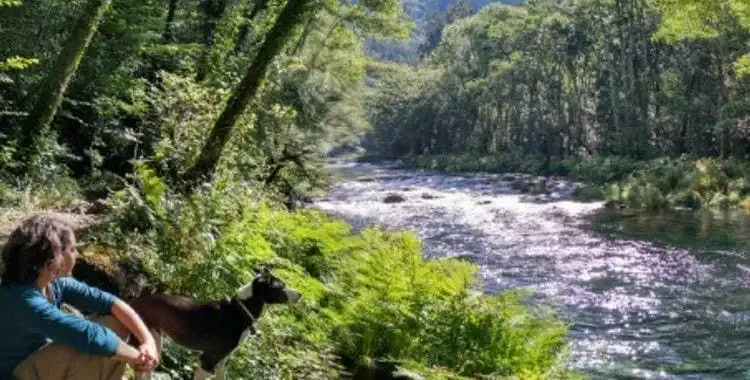 Río Eume Fragas do Eume