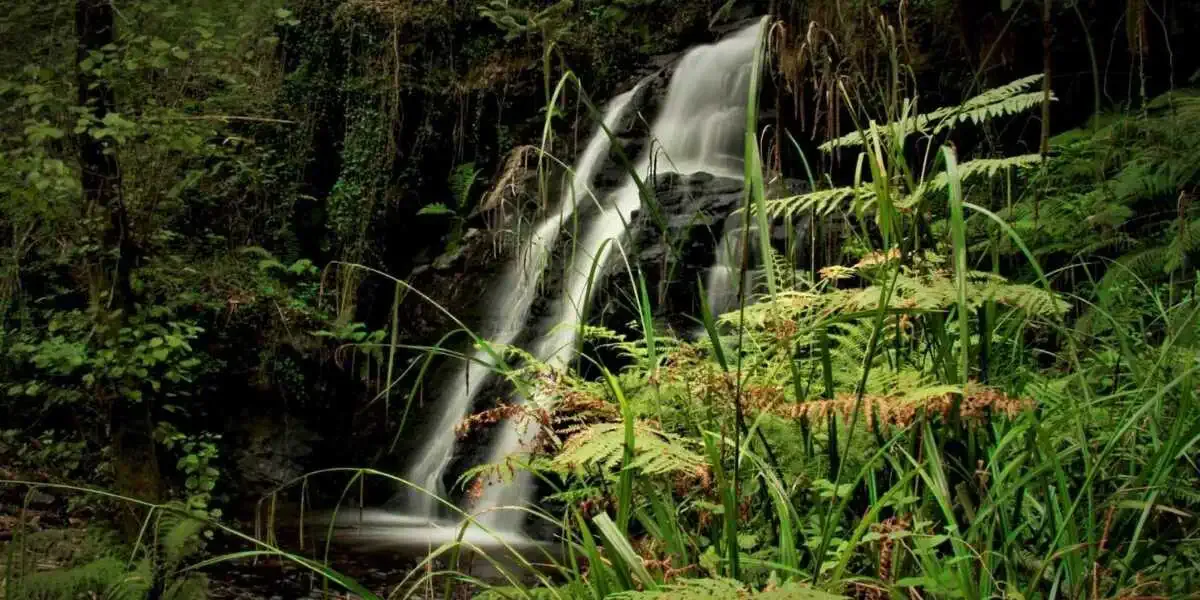 Cascata Pincheira Barco Valdeorras