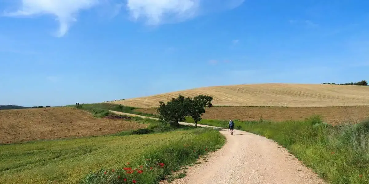 Route of Castillo de Monjardín - Villamayor de Monjardín